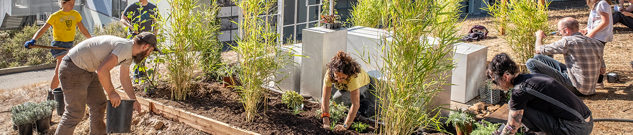 Image of people working in the Solitary Garden.